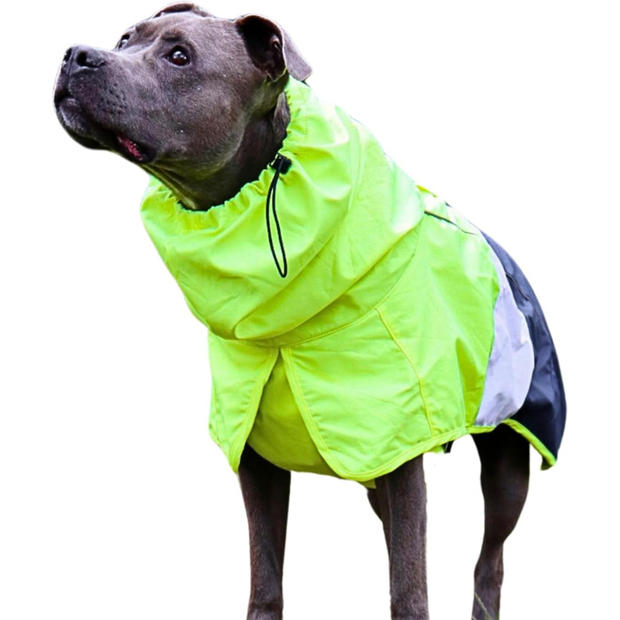 Водонепроникний дощовик для собак Spark Paws 2XL, біло-синій, з повним захистом, світловідбивний, для малих, середніх і великих порід