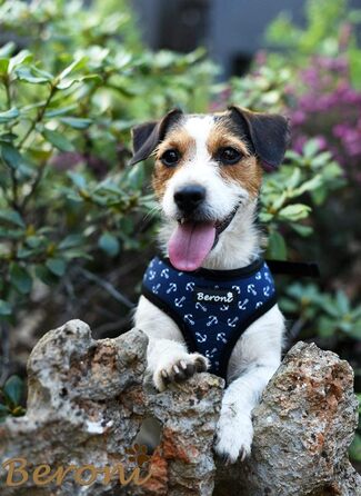 Шлейка для собак Softgeschirr, шлейка для грудей Anker Maritim, регульована, для відпочинку, літо (L (37-42см), M)