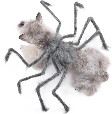 Костюм на Хелловін для домашніх тварин BT Bear: павук, для собак, Cosplay, розмір M, сірий