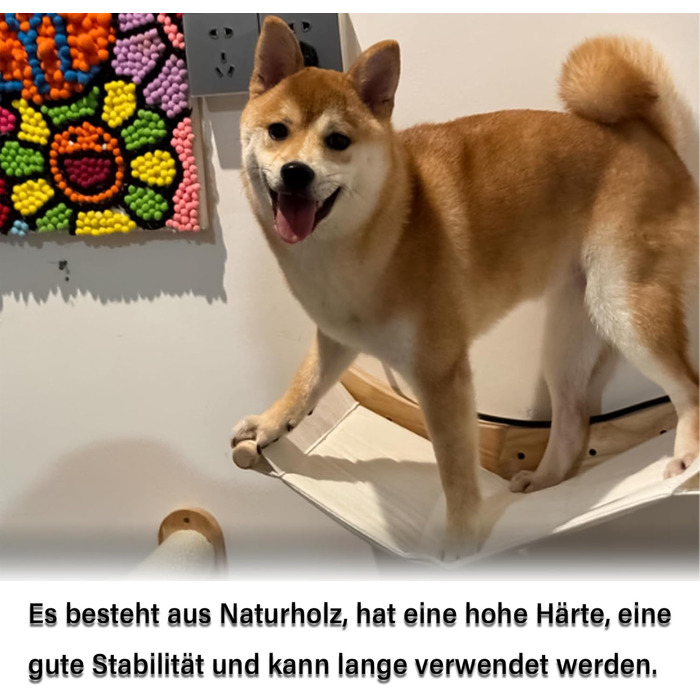 Кішка Wandregale (стійка) Katze Wandhängematte (гамак) Katze Wandbett (ліжко) Katze Wandmöbel (меблі) для котів - для лазіння та відпочинку