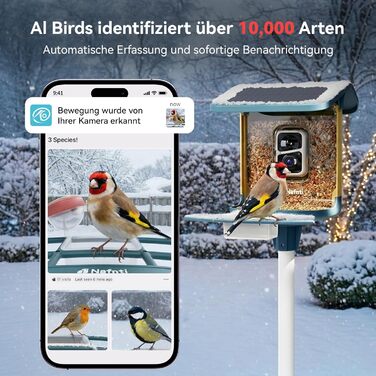 Сонячна годівниця для птахів з камерою 2K, з AI розпізнаванням понад 10 000 видів, об'єм 1.8L, IP65 водонепроникна, Wi-Fi 2.4 GHz/5 GHz, нічне бачення, подарунок для любителів птахів