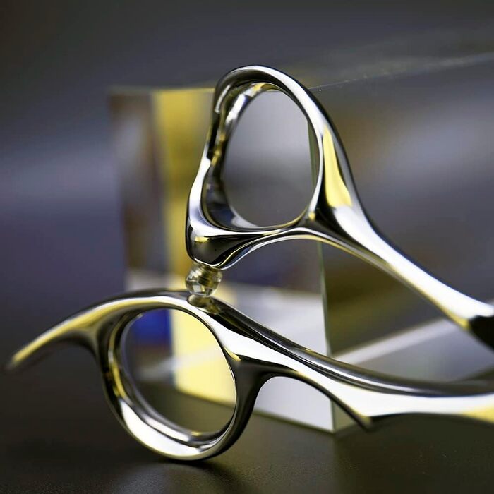 Професійні перукарські ножиці AOLANDUO VG10 - для перукарів та барберів, сталь, 6.0 дюймів