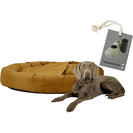 колір: селера