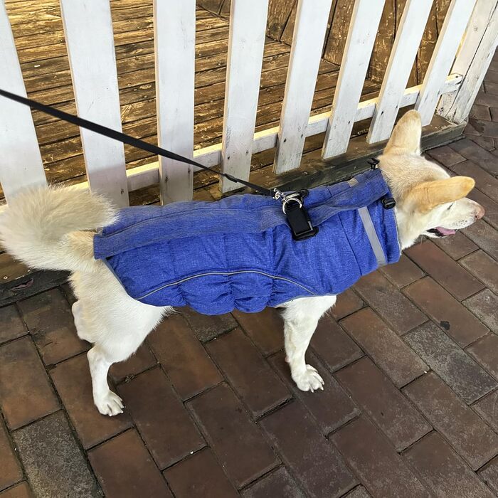 Водонепроникний та вітронепроникний теплий зимовий одяг для собак - куртка з інтегрованим шлейкою, розмір M (також доступний L, колір: синій, червоний)