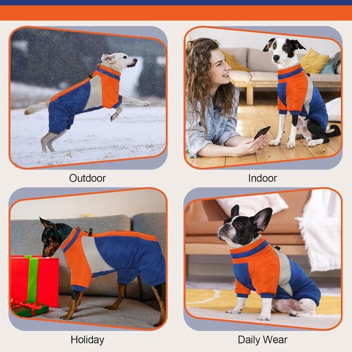 Водонепроникний теплий дощовик для собак Kuoser, для маленьких собак, зимовий, з шлейкою, модний, світловідбиваючий, блакитний, XS