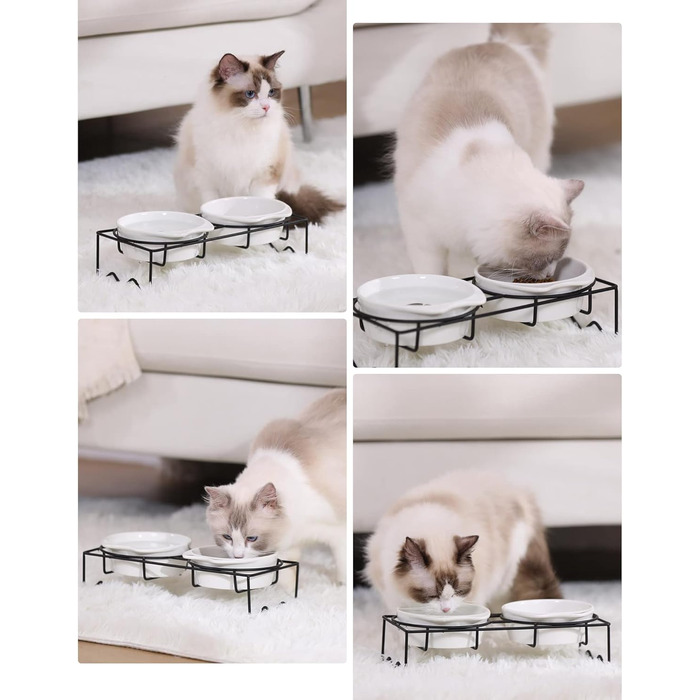 Набір мисок для котів PETTOM (2 шт.) з підставкою, кераміка, захист шиї, зелений + сірий