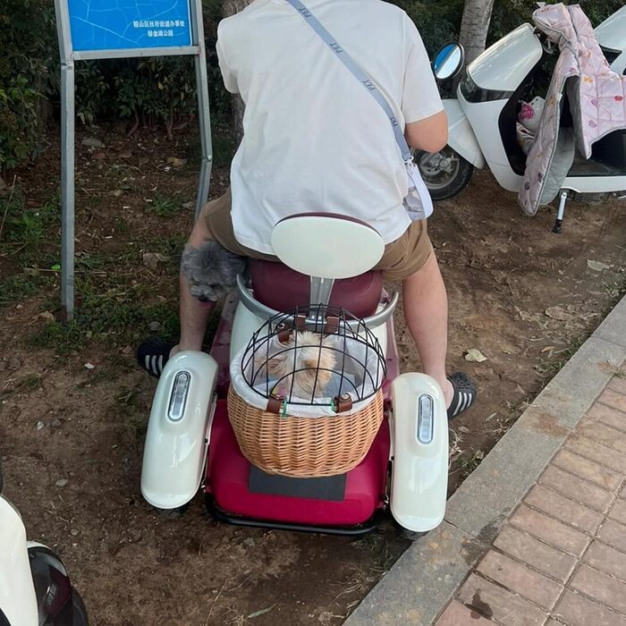 Кошик для тварин на велосипед, плетіння з лози, переноска для собак і котів, передній велосипедний кошик з сіткою, легкий знімний кошик для зберігання, ротанг, коричневий