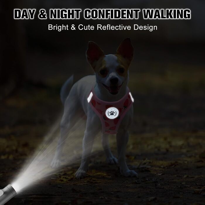 Шлейка та поводок для собак та котів BEAUTYZOO, м'яка сітчаста тканина, світловідбиваючі елементи, для дрібних та середніх цуценят, в клітинку, XS/S, (M(41-46см обхват грудей), 