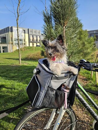 Корзина для собак, рюкзак для тварин, транспортер для котів PETRIVE