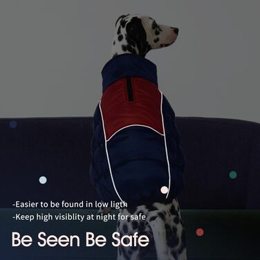 Зимові куртки та манто для собак IECOii: тепла, вітро- та водонепроникна модель, зелений, M (військово-зелений), блакитний