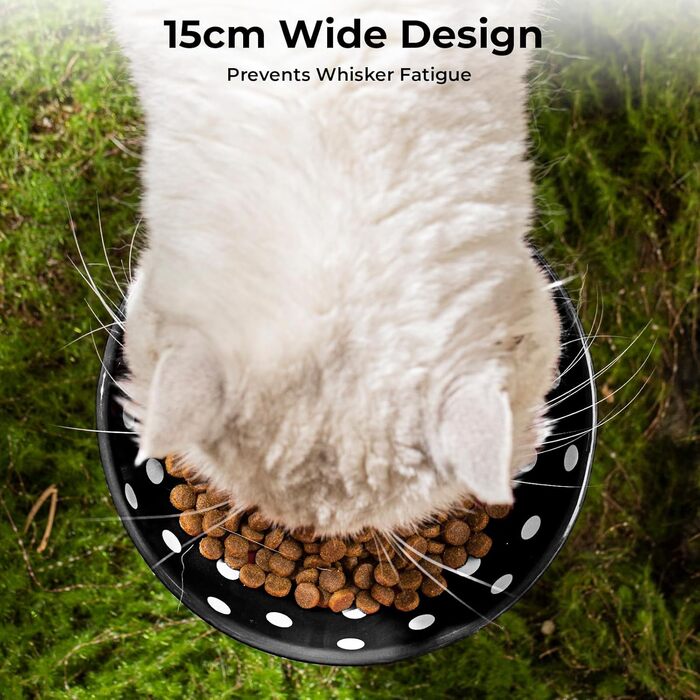 Підвищений годівниця для котів, керамічна миска у формі гриба, широка та плоска годівниця для котів зі стійкою, миска проти блювоти для котів, миска для кошенят та літніх котів (чорна)