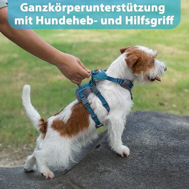 Нашийник-шлейка Huntboo для собак, анти-випадковий вихід, для панічних собак, світловідбиваючий нашийник з ручкою, регульований (S, 1 шт., блакитно-зелений)