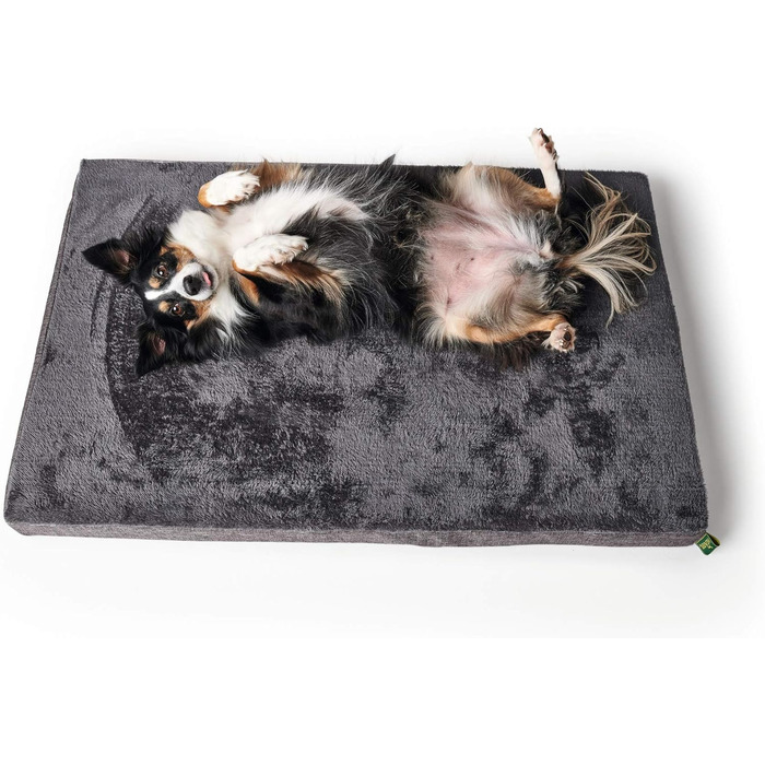 Ортопедичний килимок для собак TIRANO з піною з пам'яті, сірий, розмір M