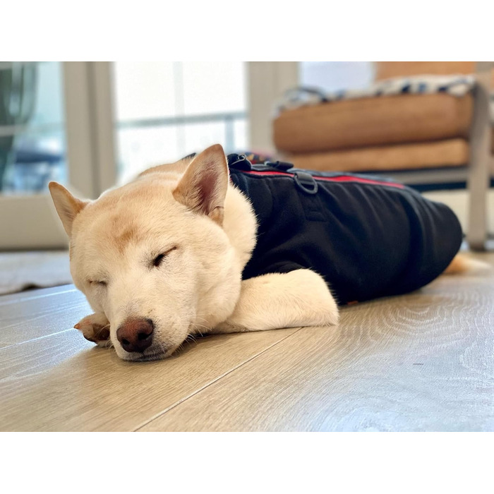 Теплий пуловер для собак Gooby з блискавкою з флісу, чорний, розмір XS. Зручна флісова куртка для собак з двома кільцями для повідка – зимовий пуловер для маленьких та середніх собак.