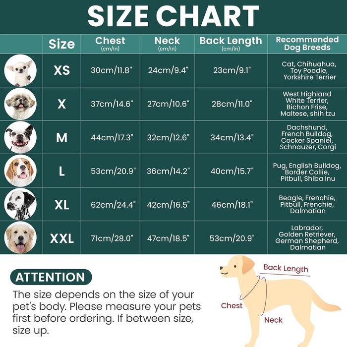 Зелений теплий пуловер для собак на Новий Рік та Різдво - для дрібних порід (Даксель, Ши-тцу, Пудель)