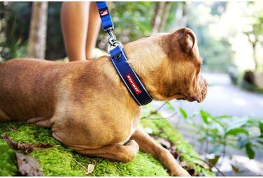 Нашийник для собак EzyDog - неопреновий, водонепроникний, світловідбиваючий (M, чорний) 39-44 см