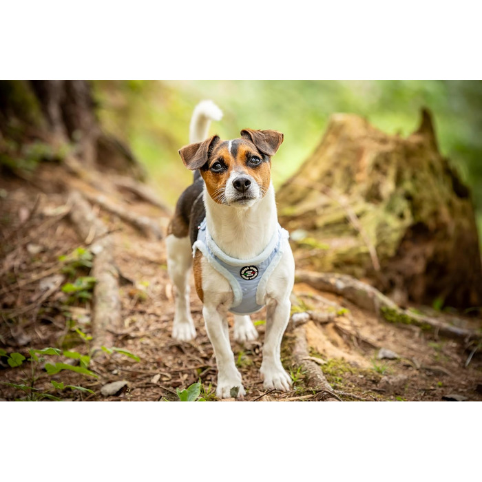М'який нашийник для собак CHIARA MIA, розмір L, блакитний. Регульований, з водовідштовхувальним матеріалом та світловідбиваючими смугами.