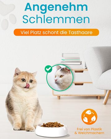 Керамічна миска для котів Lucky-Kitty XL, 27 см, для всіх порід та віку | Миска для корму котів, стійка до миття в посудомийній машині