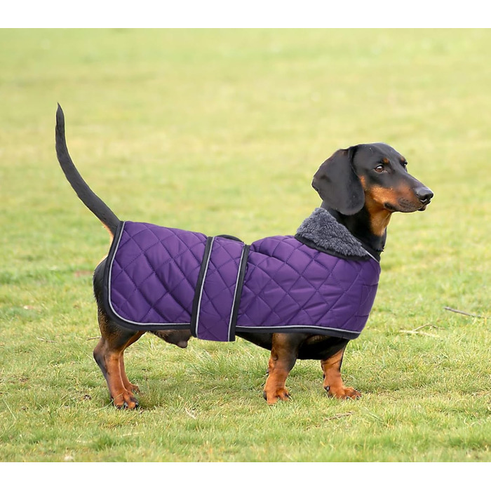 MOREZI Зимовий теплий одяг для собак - водонепроникний пуловер для такс з вовняною підкладкою та регульованими ременями, теплий зимовий одяг для маленьких собак на вулицю, колір зелений, розмір S (довжина спини: 36-38 см), зелений (S(довжина спини:36-38см