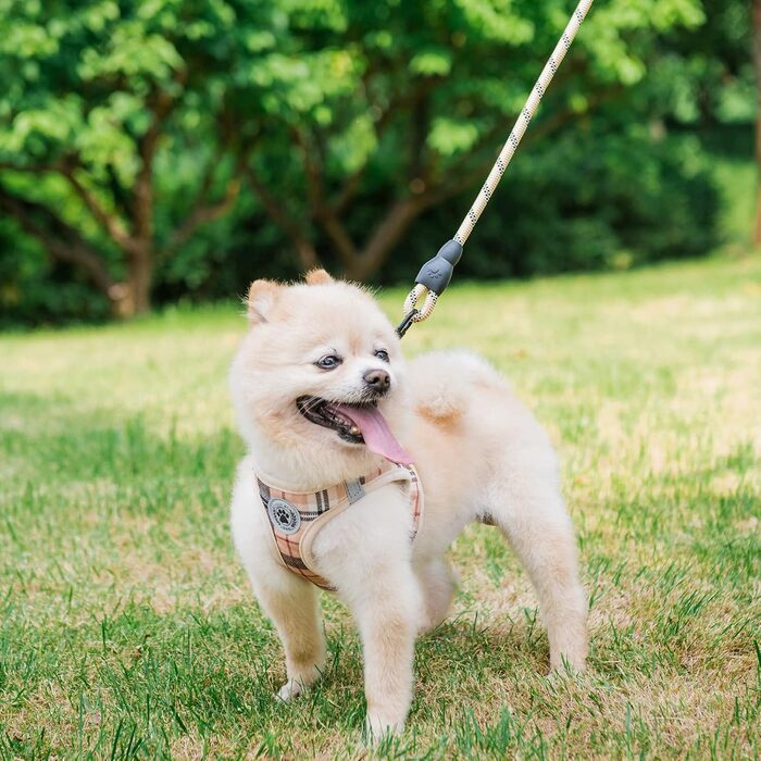 Шлейка та поводок для собак та котів BeautyzOO, м'яка сітчаста тканина, світловідбиваючі елементи, для цуценят та котів середніх та маленьких розмірів, в клітинку, XS/S, Бежевий (37-41 см обхват грудей)