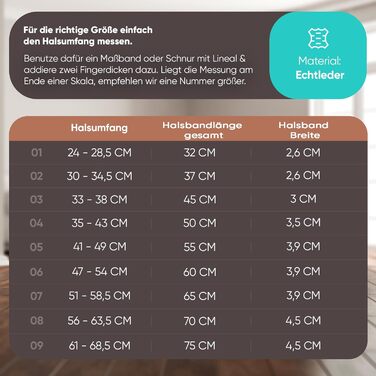 Ошийник для собак Carlota Halsband Indianer: шкіряний ошийник з бірюзовими каменями, різні розміри (41-49 см)