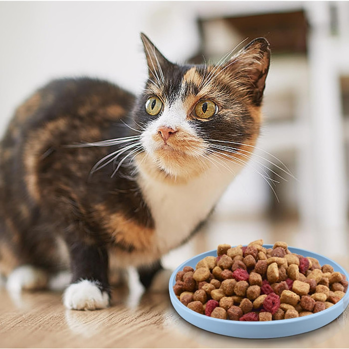 Набір мисок для котів (4 шт.), 18 см, силікон, для сухого та вологого корму (блакитний, жовтий, рожевий, сірий)