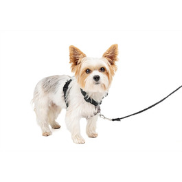 PetSafe 3-в-1 шлея та ремінь безпеки для собак XS, чорна, з анти-ривковим кільцем і фіксацією для авто
