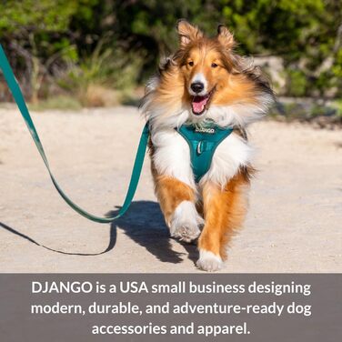 Водонепроникна куртка для собак DJANGO Highland з капюшоном, регульована, легка, червона, для малих і середніх порід, з отвором для повідка, м’якою підкладкою і кишенею
