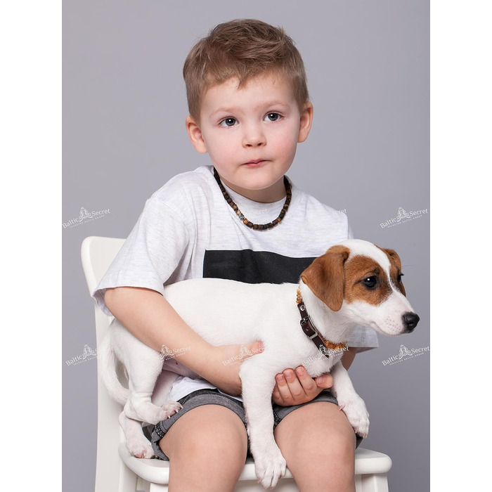 Янтарний намисто для собак | Намисто з бурштину для собак та котів | Намисто для собак з натурального бурштину (28 см)