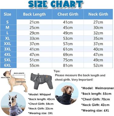 Водонепроникний комплект для собак BT Bear: жилет, дощовик, жилетка, шлейка, 6XL, сірий