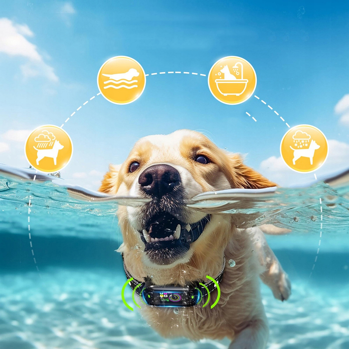 Корекційний нашийник для собак — електричний тренувальний нашийник для дисципліни та заспокоєння