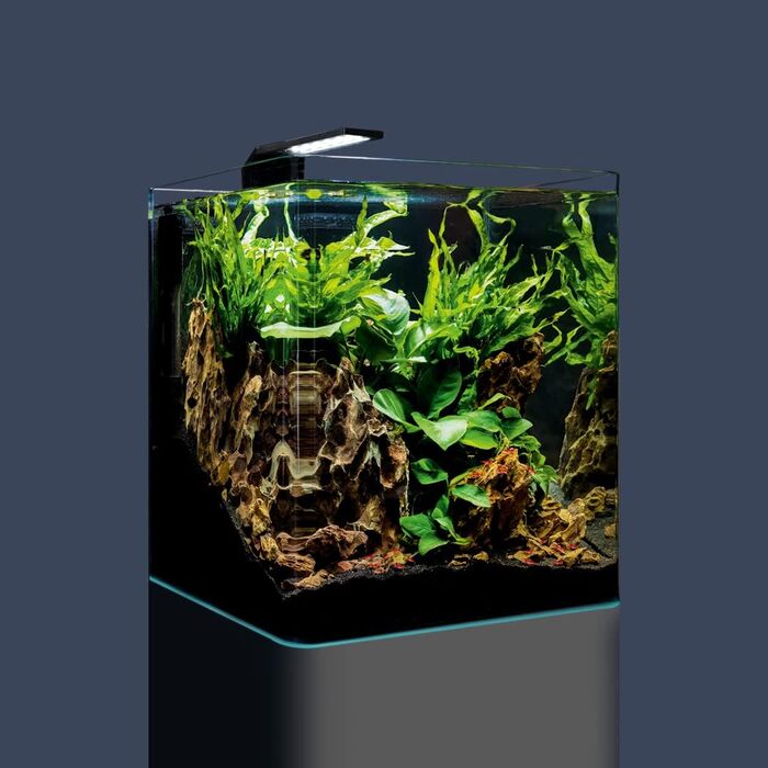 Dennerle Nano Cube Complete 30 л – комплект міні-акваріуму