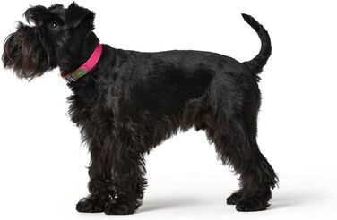 Нашийник для собак HUNTER Convenience, пластик, 55 см, M-L, колір: малиновий