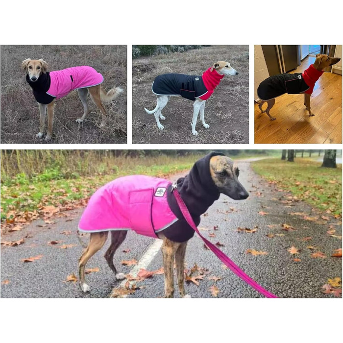 Водонепроникний зимовий теплий одяг для породистих собак Віндгаунд, Салукі, Вів'єта (Чорний, L)