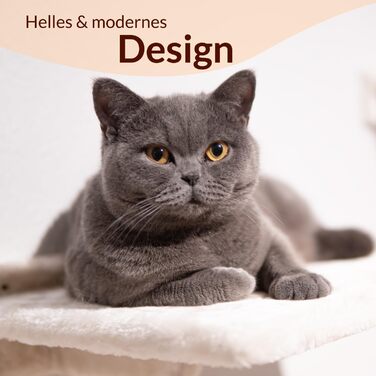 Meoville® настінний комплекс для котів XXL, 4 предмети, масив дерева, суперміцний: гамак, лежак, 2 сходинки, настінний драпак, бежева стінка для котів