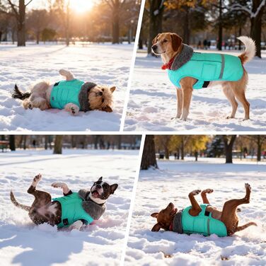 Зимовий теплий куртка для собак з регульованим коміром, світловідбиваючий, блакитний, зелений (3XL)
