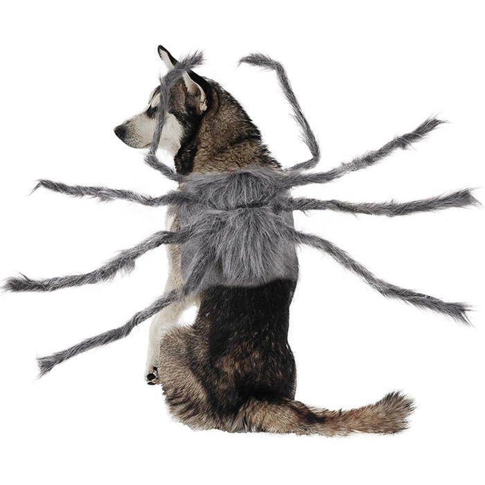 Костюм на Хелловін для домашніх тварин BT Bear: павук, для собак, Cosplay, розмір M, сірий