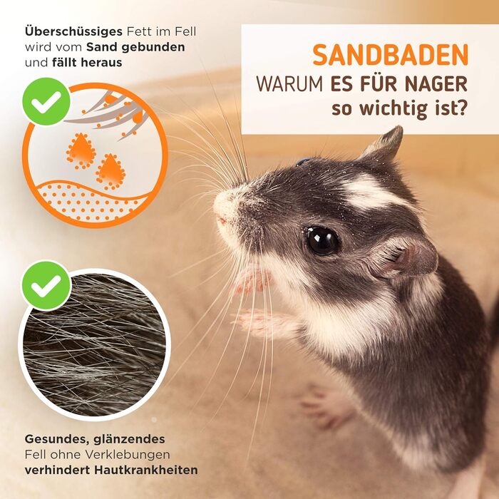 Преміум пісочник для хом'яків, мишей, щурів та дегу Nagergaleria® з унікальною системою збору бруду