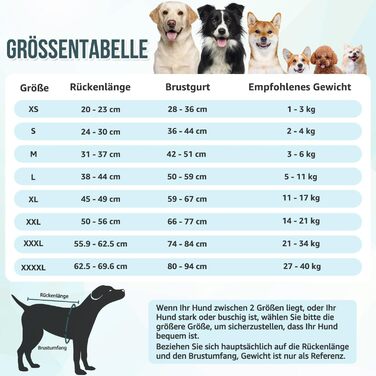 Комбінезон для собак після операції, захист від лизання, дихаючий, з блискавкою, альтернатива електронного нашийника, для собак після кастрації/стерилізації (Леопардовий принт-блакитний, L)