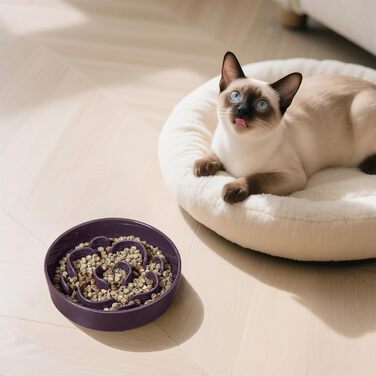 Керамічна годівниця для собак маленьких порід з антислизьким дном - годівниця для собак та котів - підходить для сухого та вологого корму - фіолетовий колір - 180г, маленька