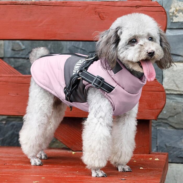 Зимові куртки для собак, теплі водонепроникні накидки для цуценят та собак середніх розмірів, з шлейкою, фіолетовий