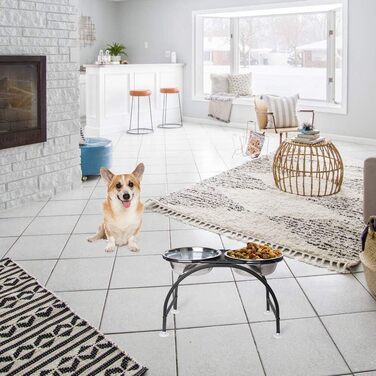 Миска для собак HomeMall, підставка для корму, миска для корму для середніх собак