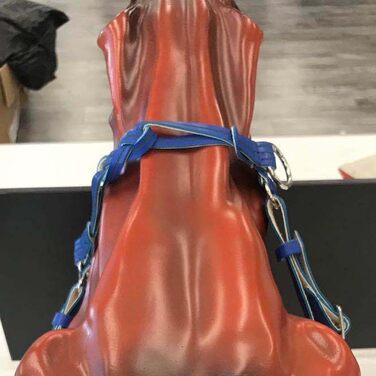 Зауважнення для коня, регульоване, обладнання для коня, вуздечка, аксесуари для їзди верхи, вуздечка для коня, аксесуари для сідла (Блакитний, 10 см)