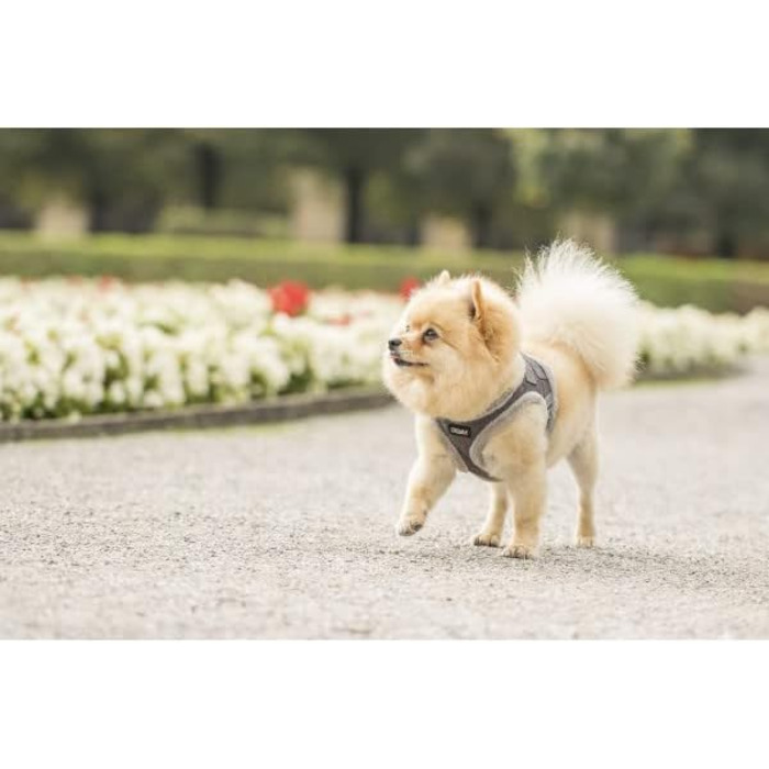 М'який шлейка для собак CHIARA MIA, XXS (сірий, водонепроникний, з регулюванням на липучці, світловідбиваючі смуги)