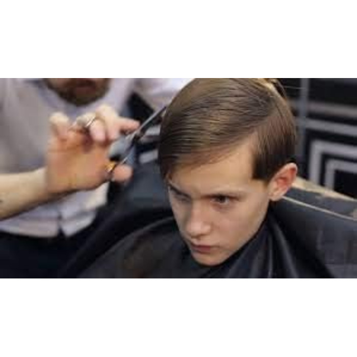 Професійні ножиці для волосся Focus World 6,5 дюймів (FW--01) - Японська сталь, срібло