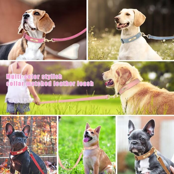 Нашийник та поводок для собак, шкіряні, персоналізовані, м'яко стьовані, міцні, з індивідуальною табличкою, регульовані (M, верблюжий, комплект M: обхват шиї 28-37 см, ширина 2 см)