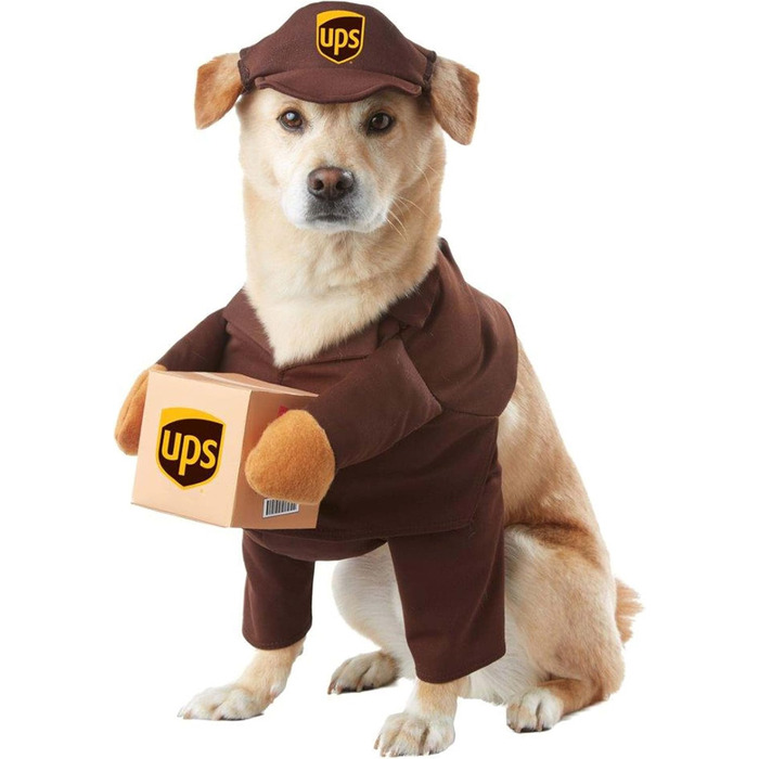 Костюм для собаки UPS, розмір L, коричневий