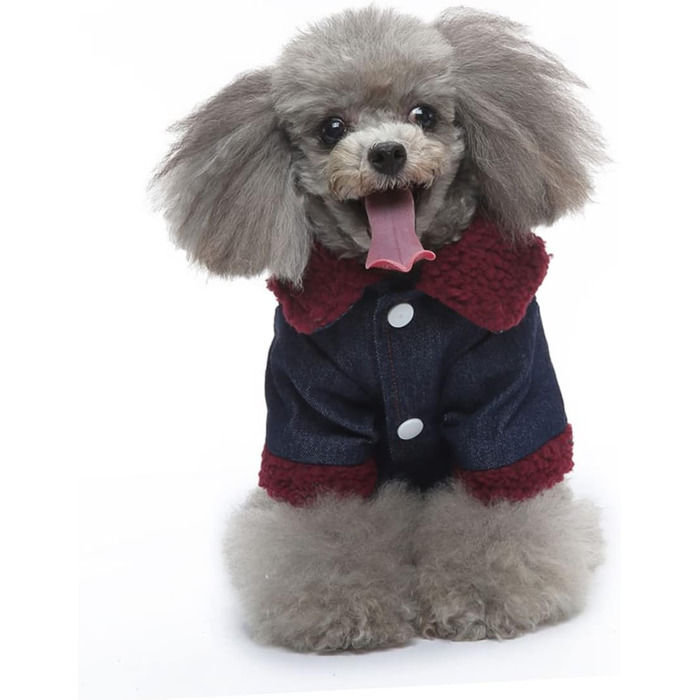 Зимовий теплий водонепроникний одяг для собак Eringogo (L, Multi) - для прогулянок та фотосесій