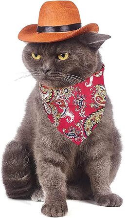 Костюм ковбоя для котів та собак (Small) - комплект з 2 частин: капелюх та бандана