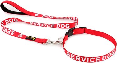 Нашийник для собак Plus Pet Service з великим написом на нейлоновій стрічці, запобігає нещасним випадкам, попереджає інших собак, 2 кольори, 4 розміри